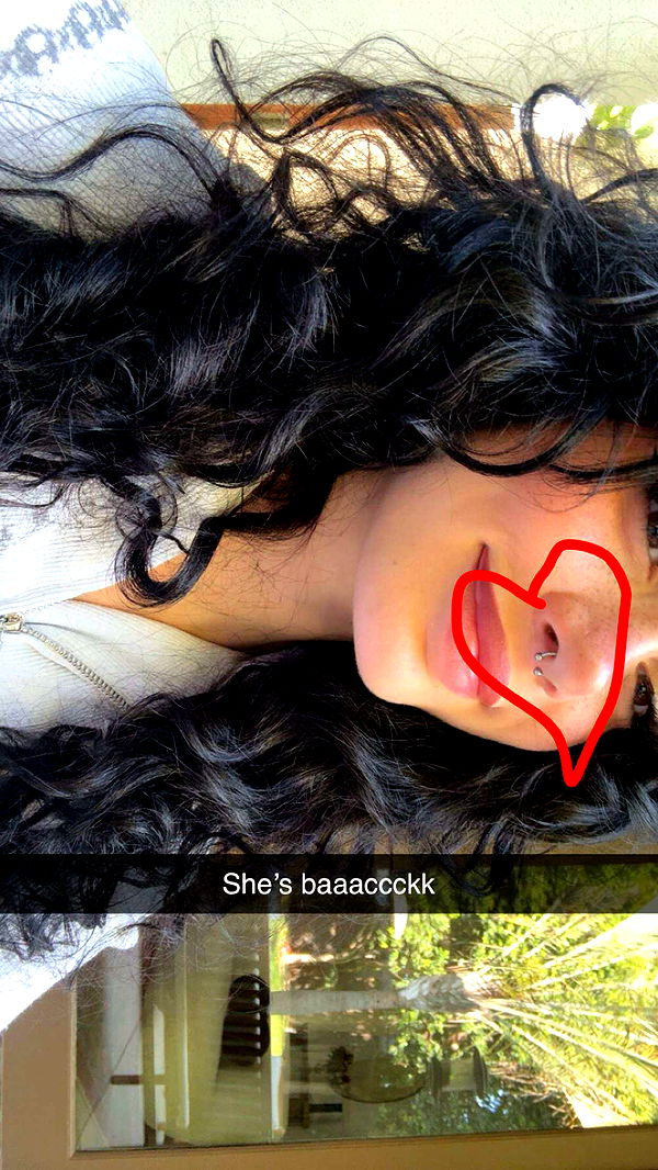 little.warren1 image ~ Altpins