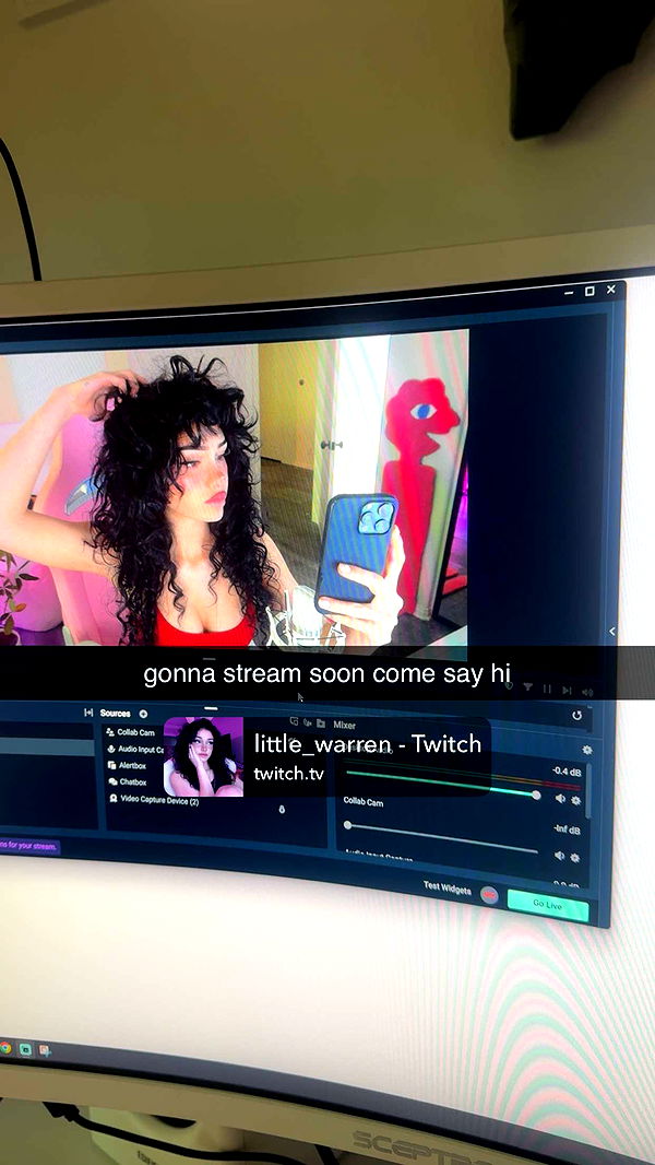 little.warren1 image ~ Altpins