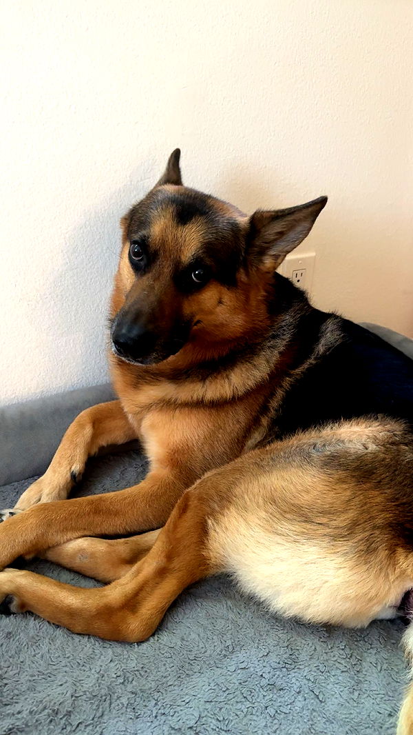 little.warren1 image ~ Altpins