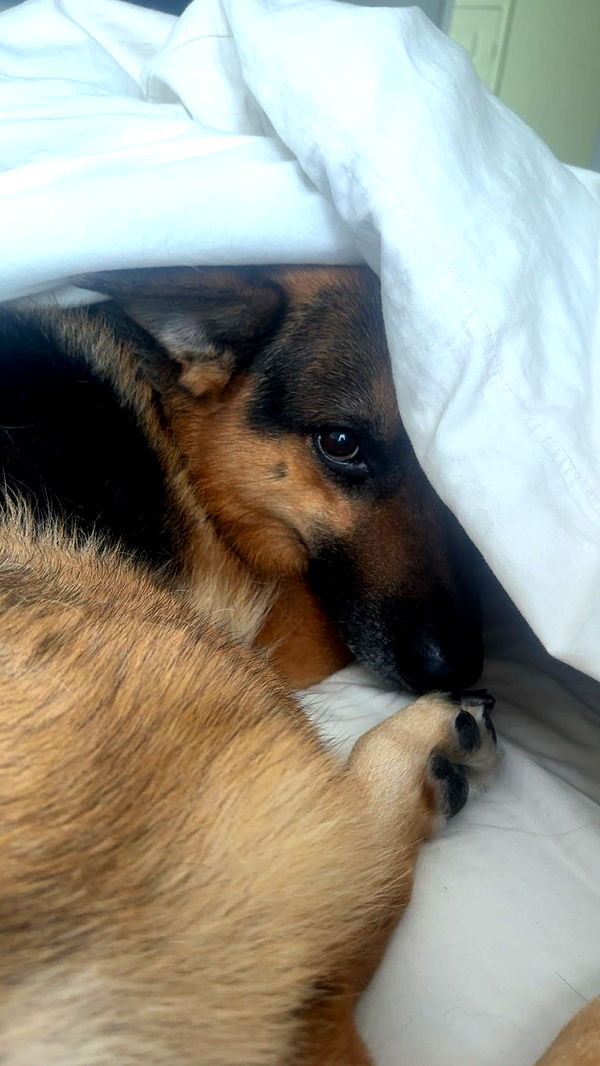 little.warren1 image ~ Altpins