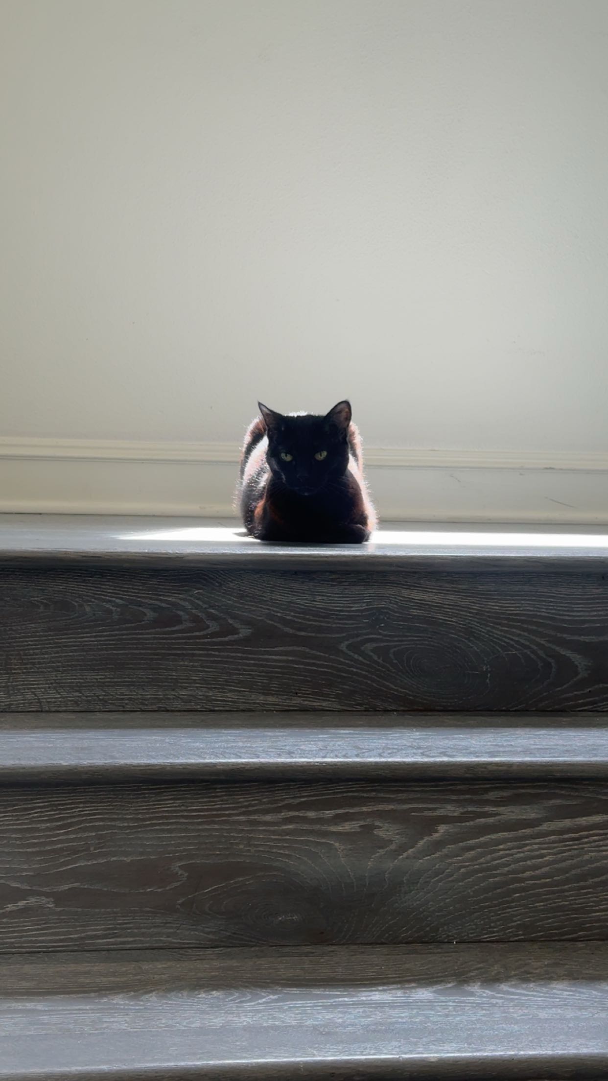 little.warren1 snapchat image archive image