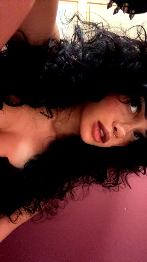 little.warren1 image ~ Altpins