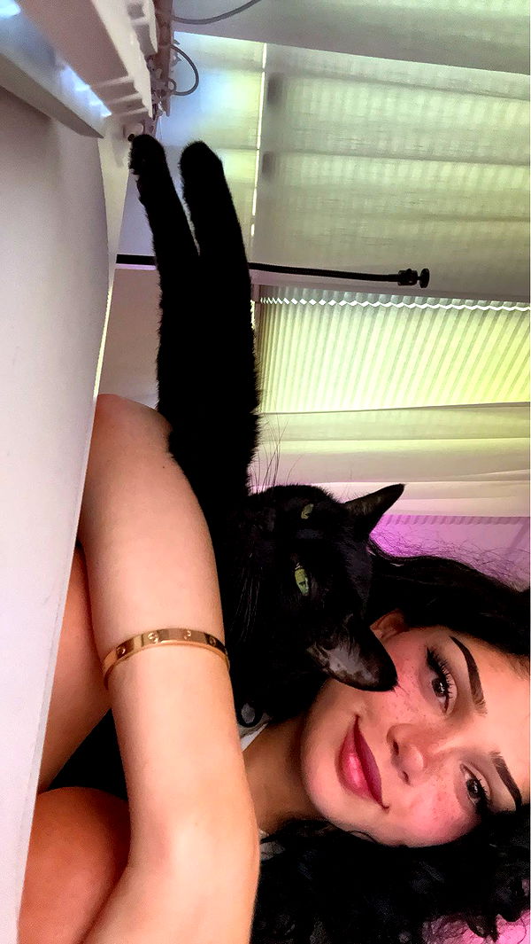 little.warren1 image ~ Altpins