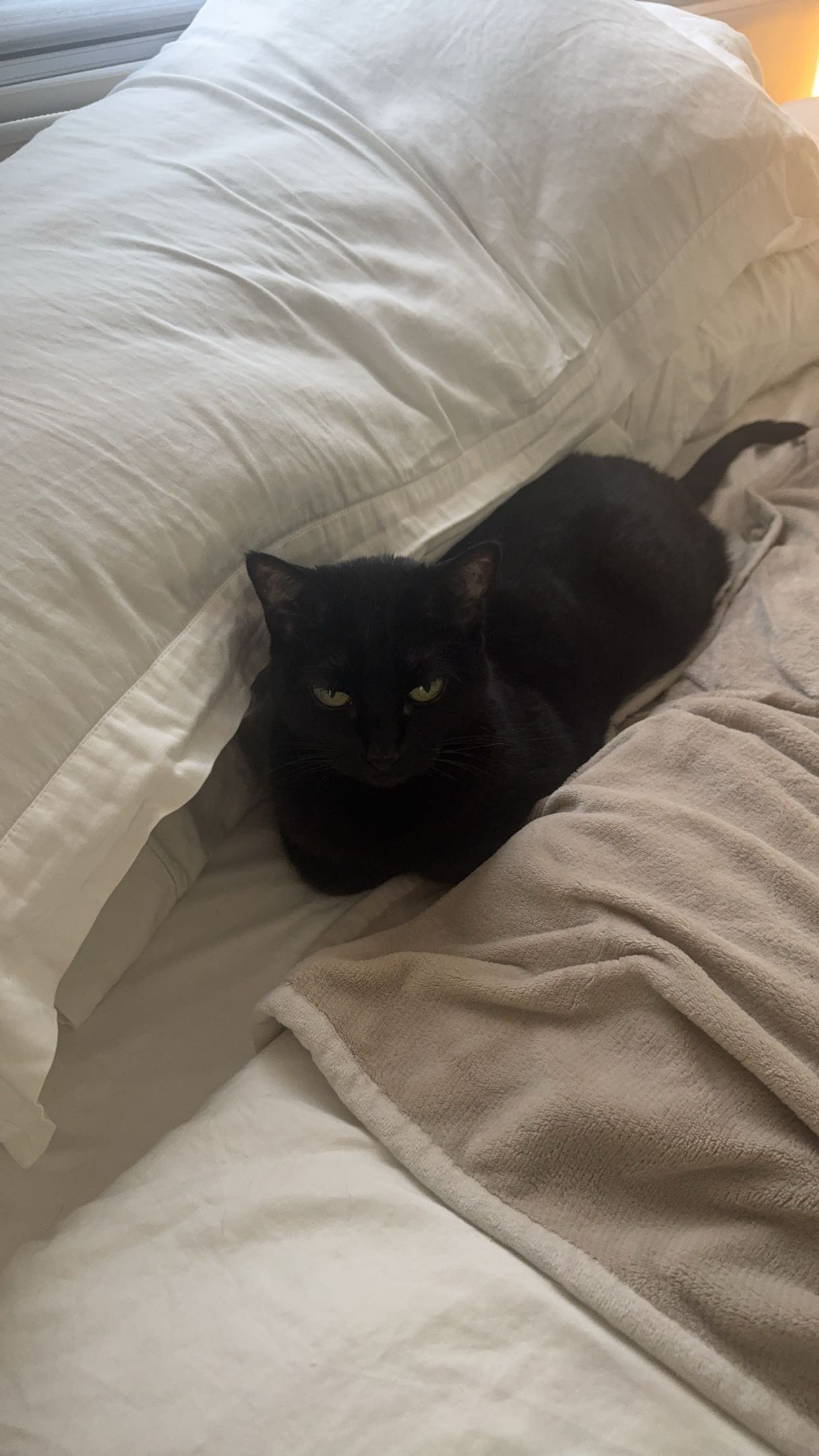 little.warren1 snapchat image archive image