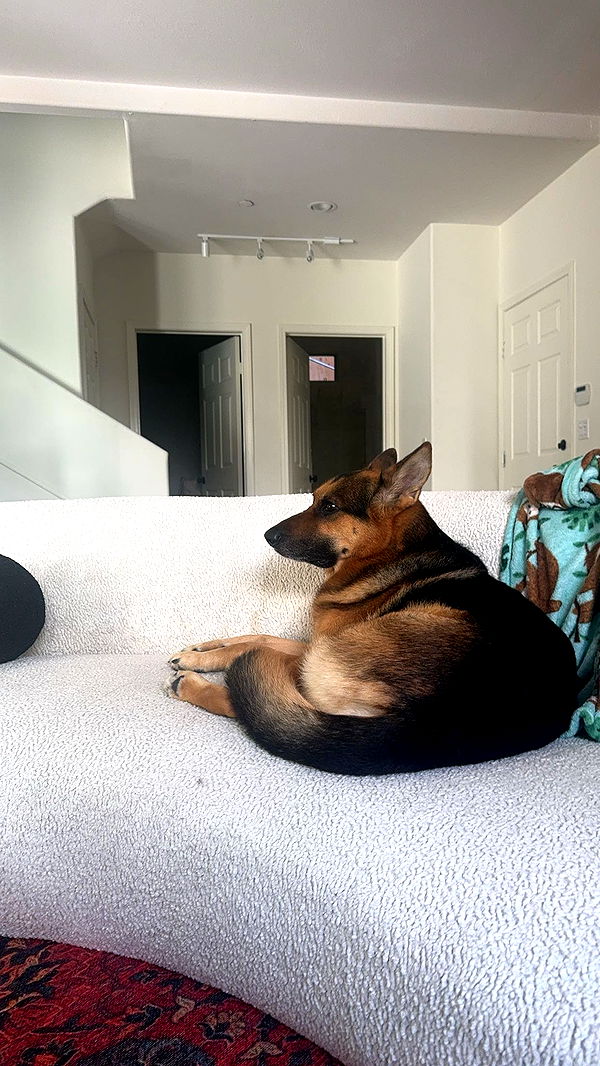 little.warren1 image ~ Altpins