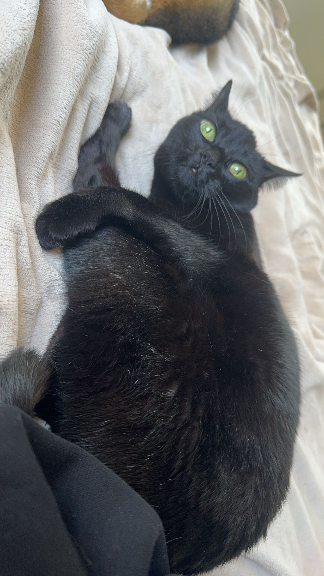 little.warren1 snapchat image archive image