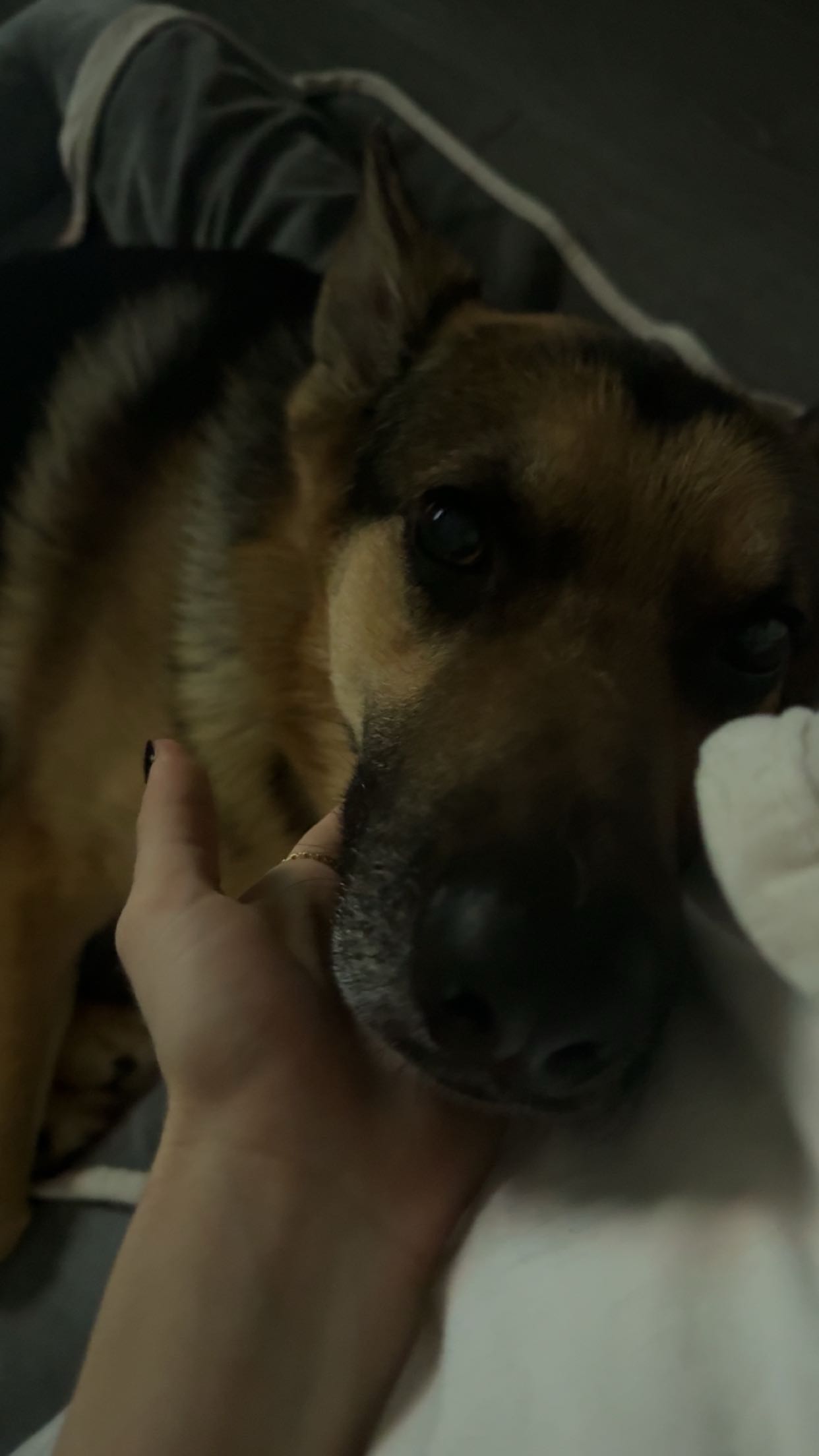 little.warren1 snapchat image archive image