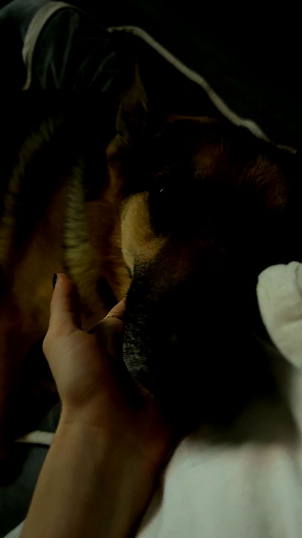 little.warren1 image ~ Altpins