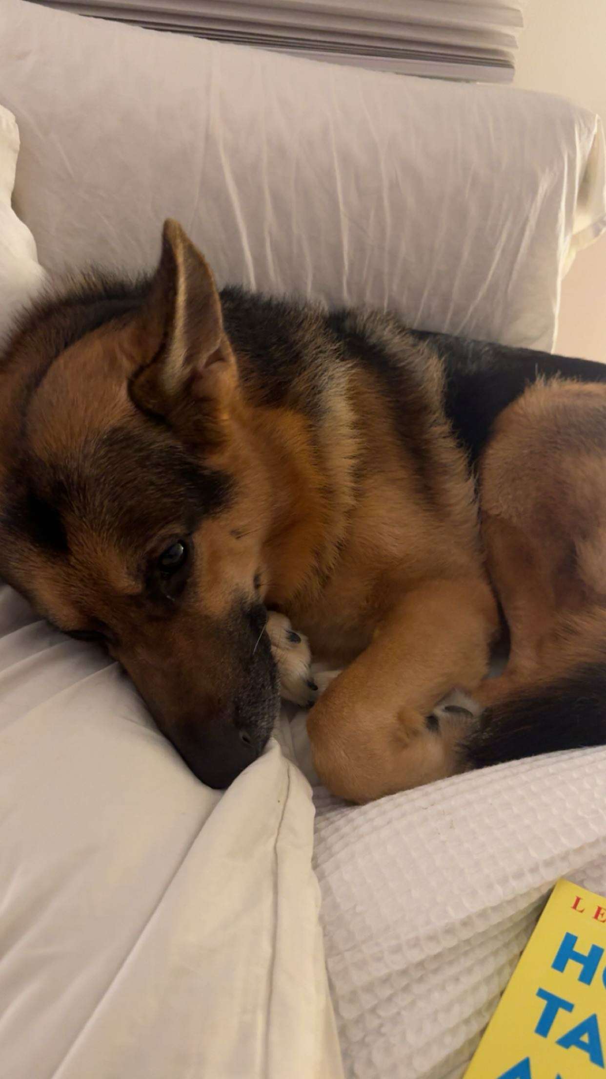 little.warren1 snapchat image archive image