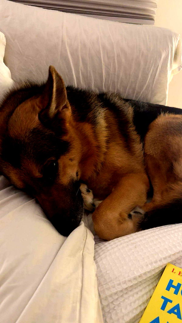 little.warren1 image ~ Altpins