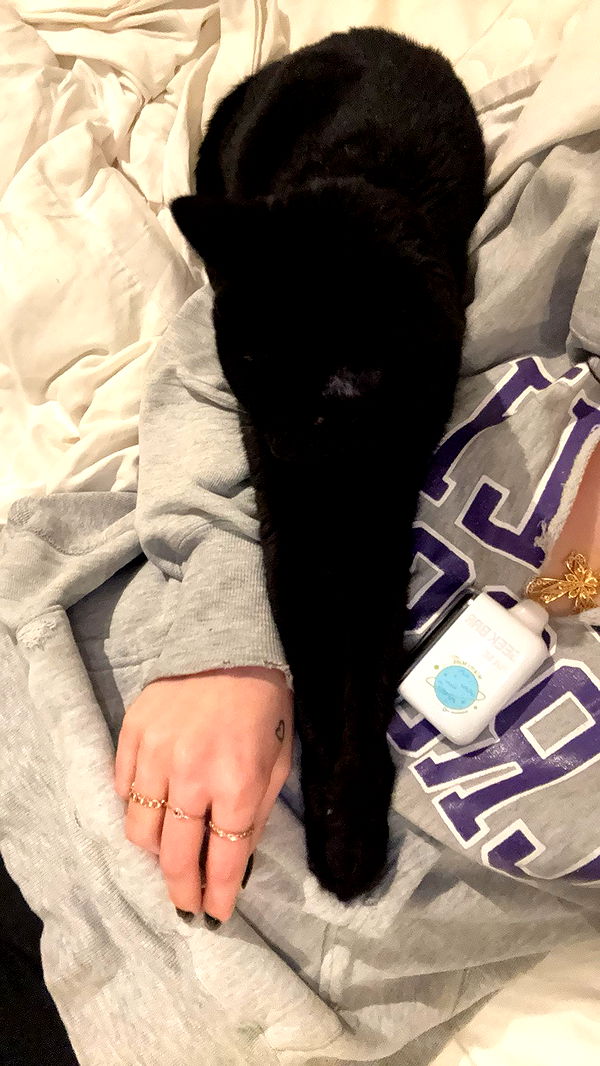 little.warren1 image ~ Altpins