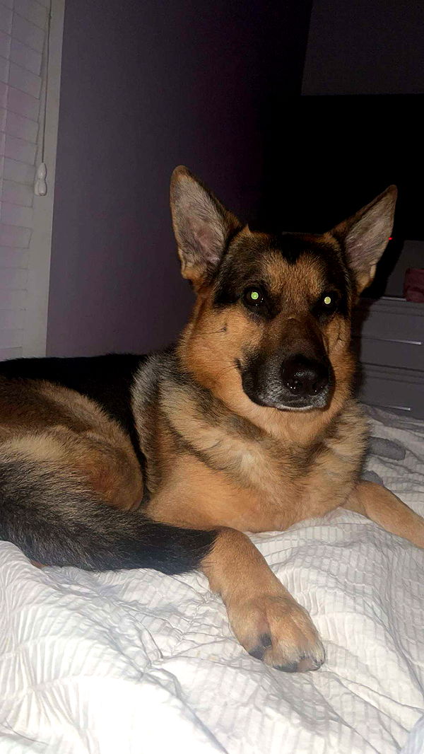 little.warren1 image ~ Altpins