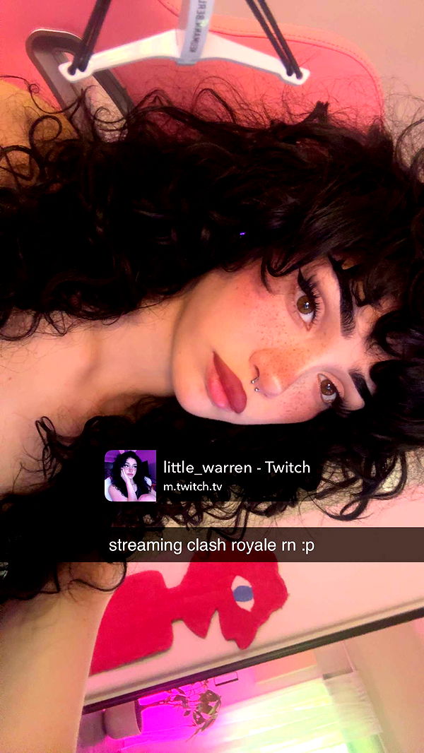 little.warren1 image ~ Altpins