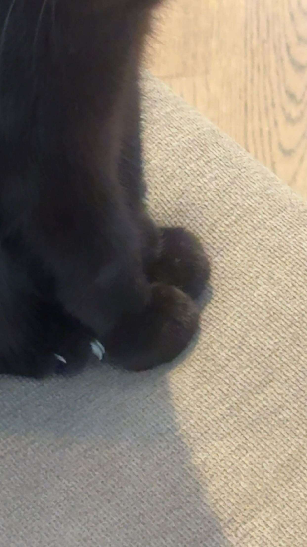 little.warren1 snapchat image archive image