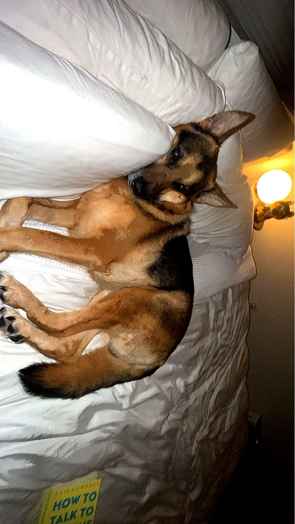 little.warren1 image ~ Altpins