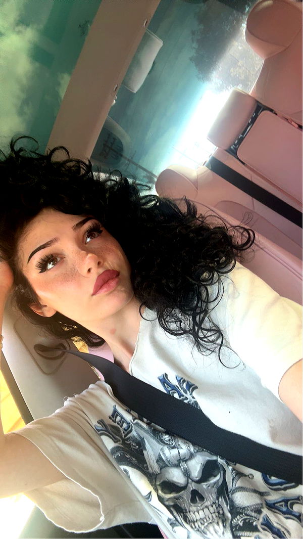 little.warren1 image ~ Altpins