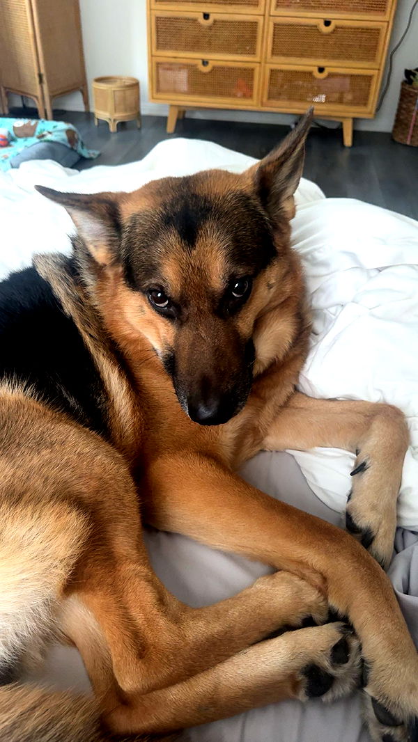 little.warren1 image ~ Altpins