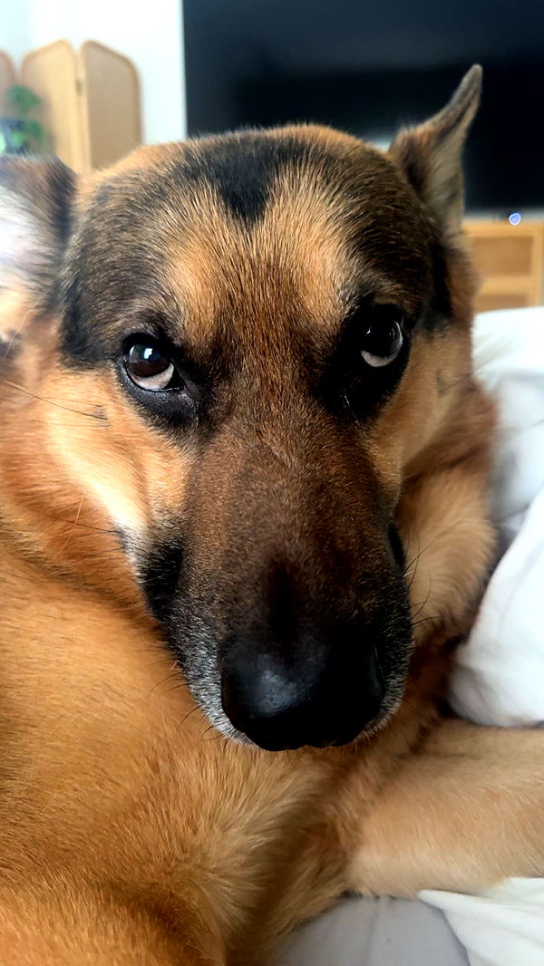 little.warren1 image ~ Altpins