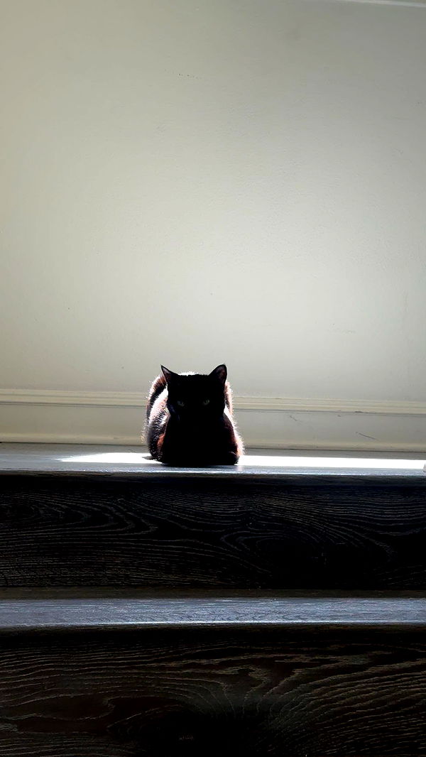 little.warren1 image ~ Altpins