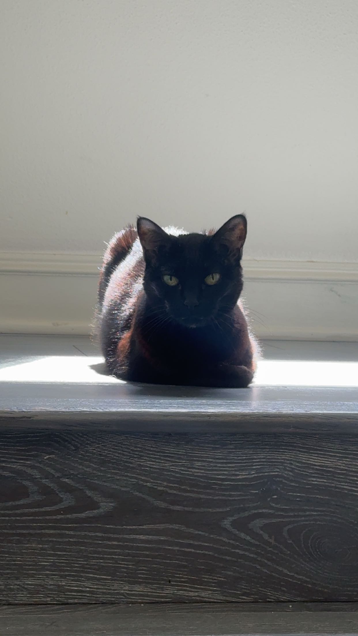 little.warren1 snapchat image archive image