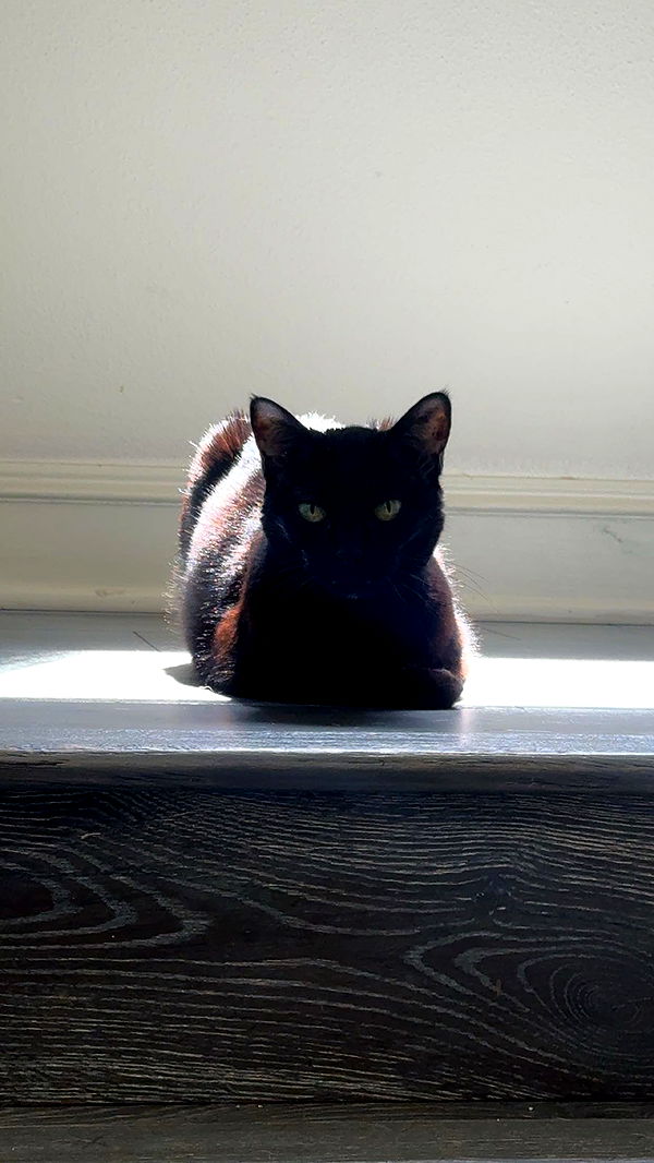 little.warren1 image ~ Altpins