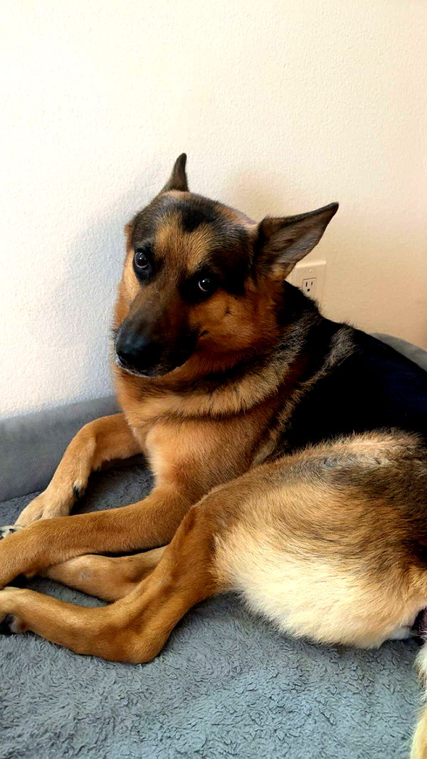 little.warren1 image ~ Altpins