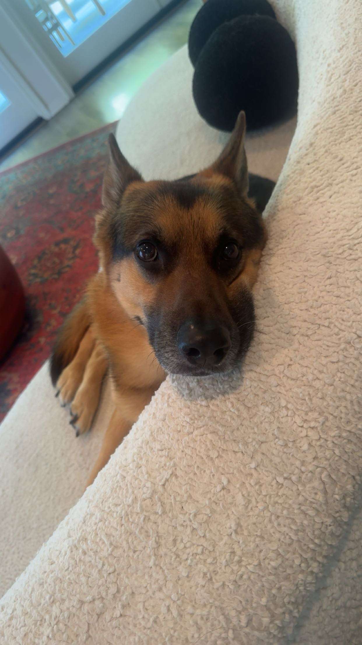 little.warren1 snapchat image archive image