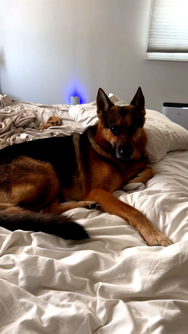 little.warren1 image ~ Altpins