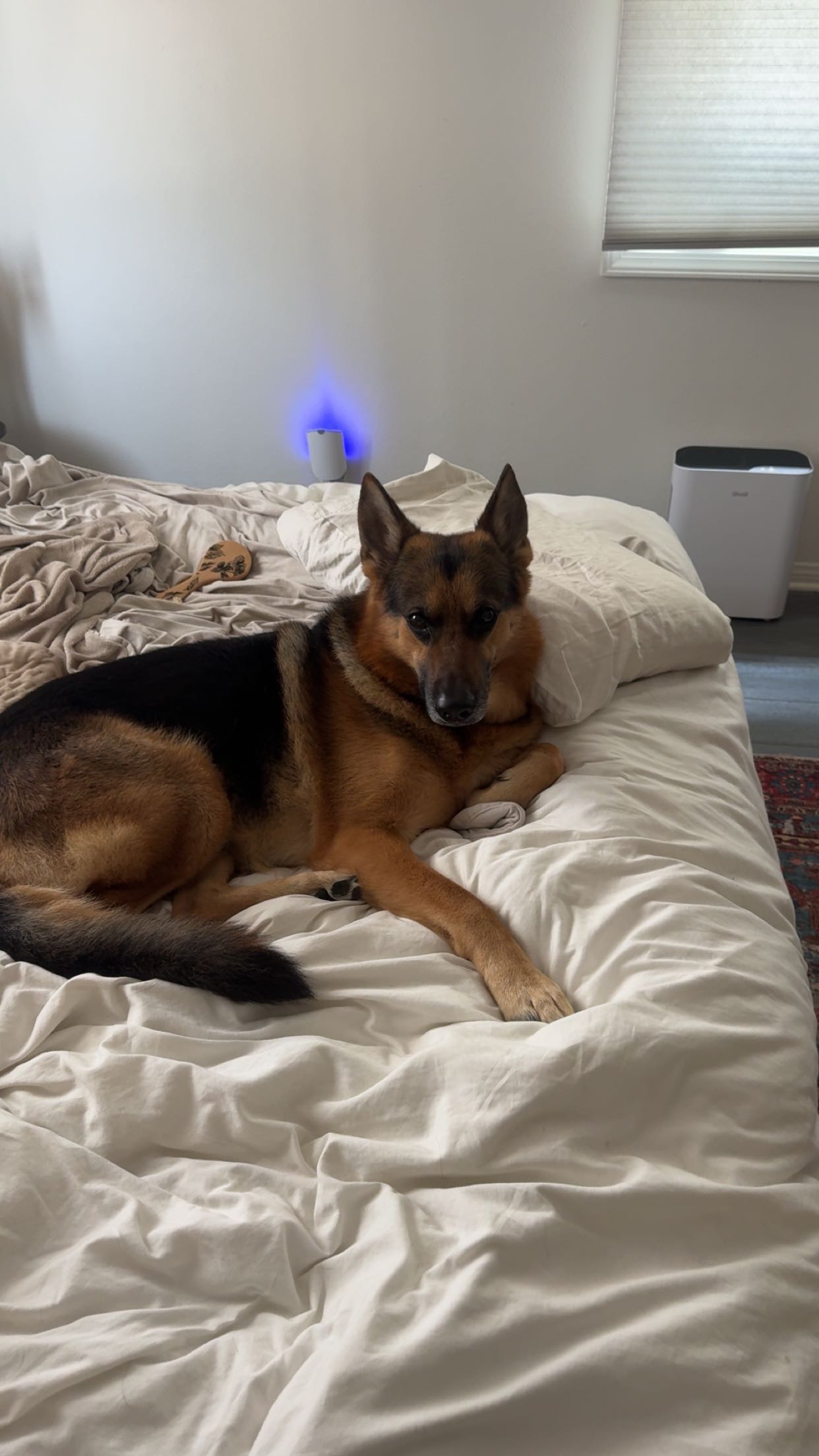 little.warren1 snapchat image archive image