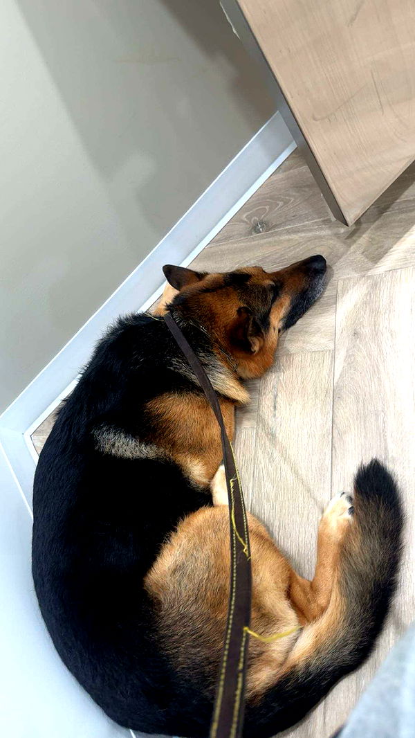 little.warren1 image ~ Altpins