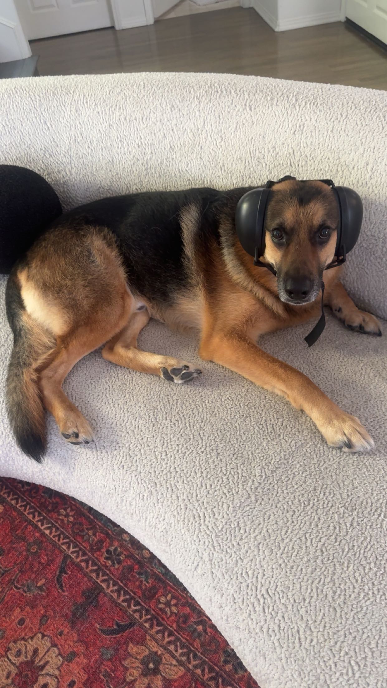 little.warren1 snapchat image archive image