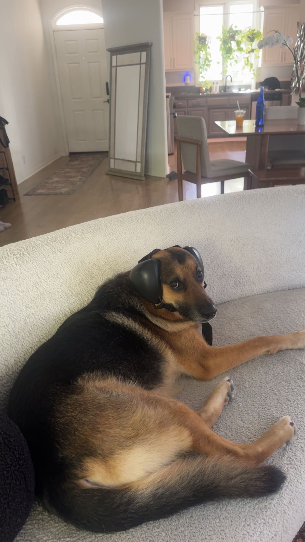 little.warren1 snapchat image archive image