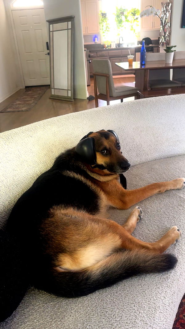 little.warren1 image ~ Altpins