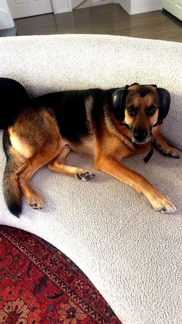 little.warren1 image ~ Altpins