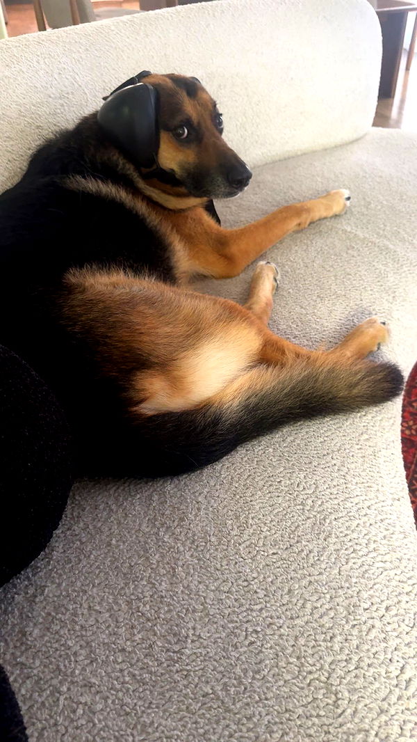 little.warren1 image ~ Altpins