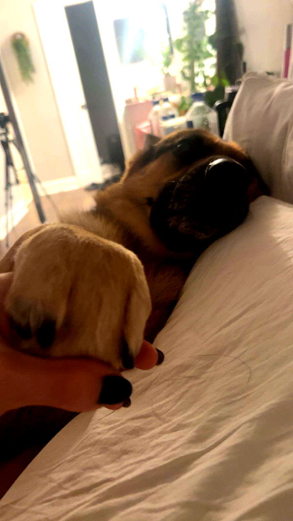 little.warren1 image ~ Altpins