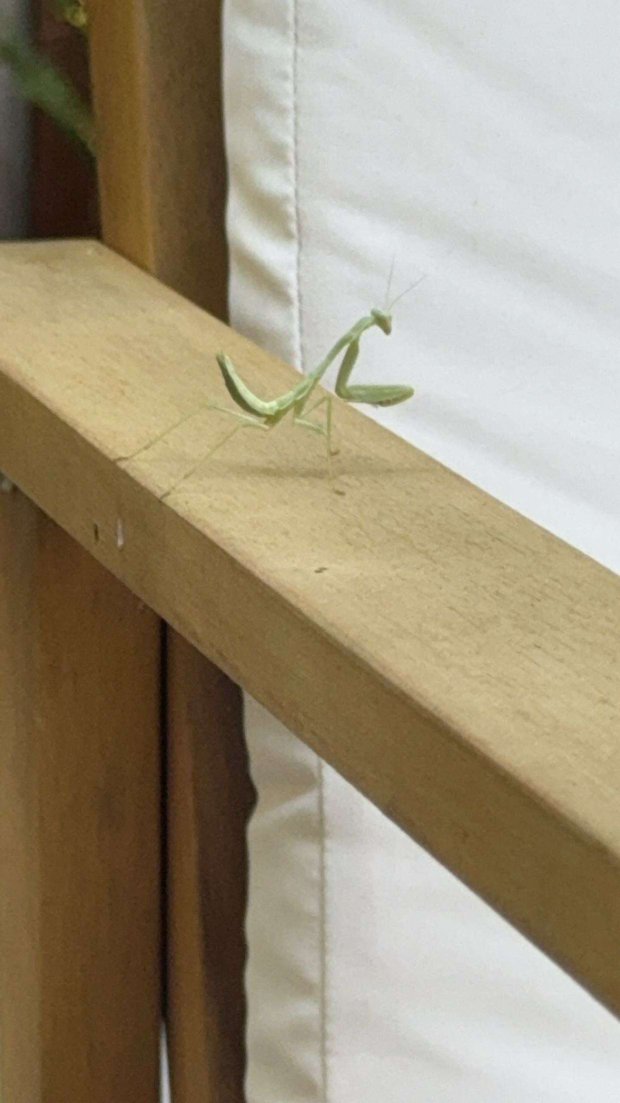 little.warren1 snapchat image archive image