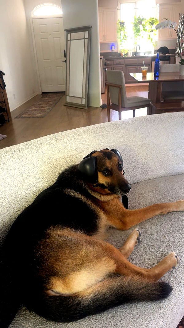 little.warren1 image ~ Altpins