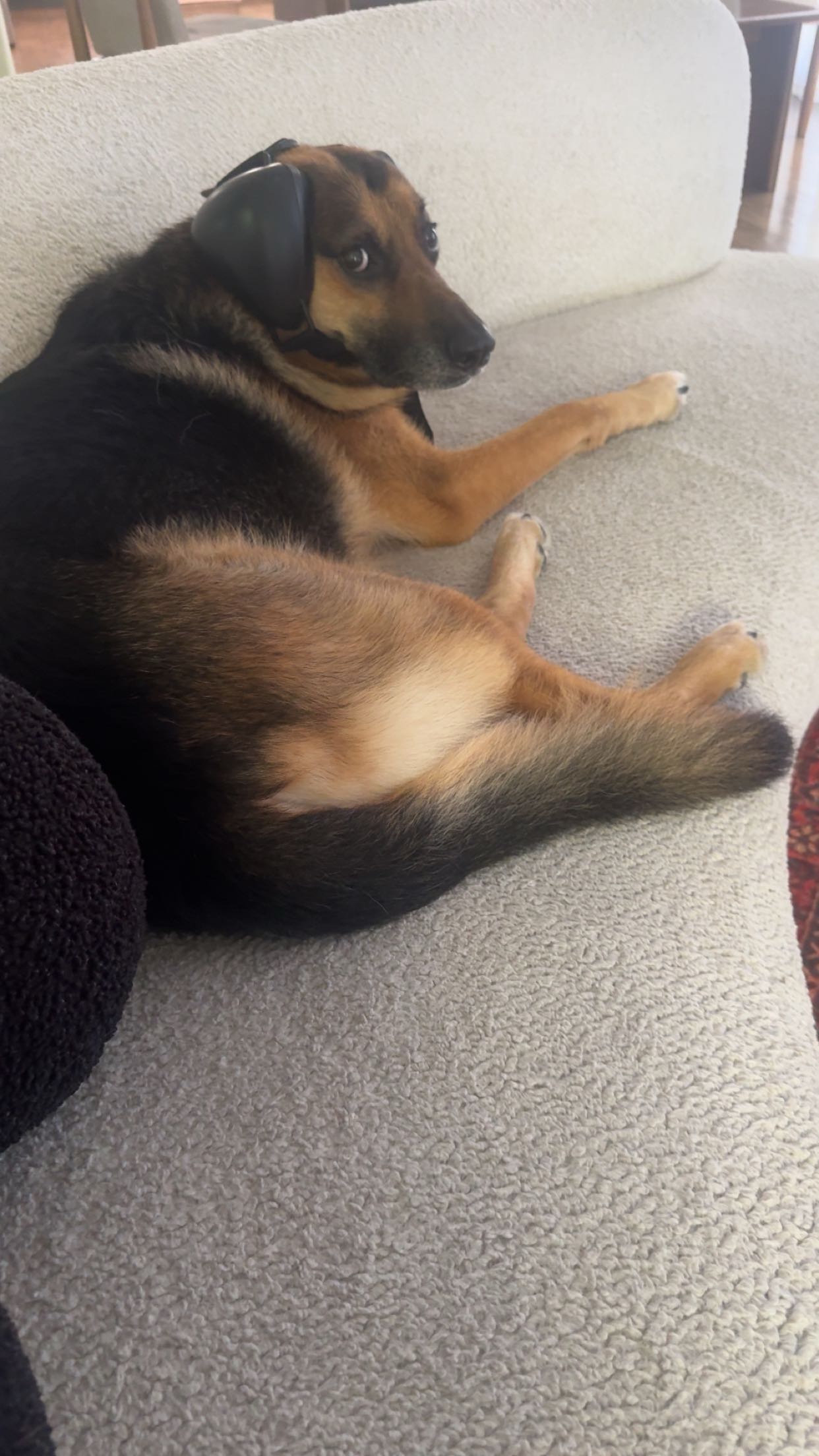 little.warren1 snapchat image archive image