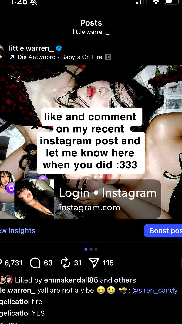 little.warren1 image ~ Altpins