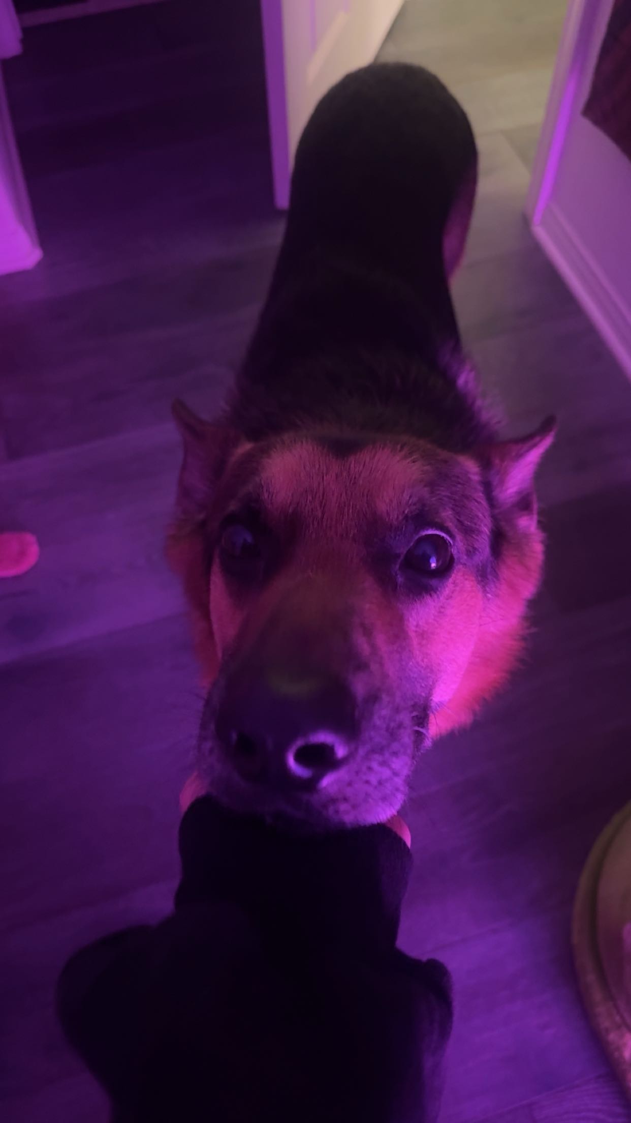 little.warren1 snapchat image archive image