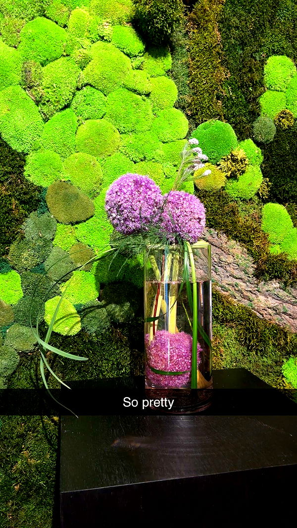 little.warren1 image ~ Altpins