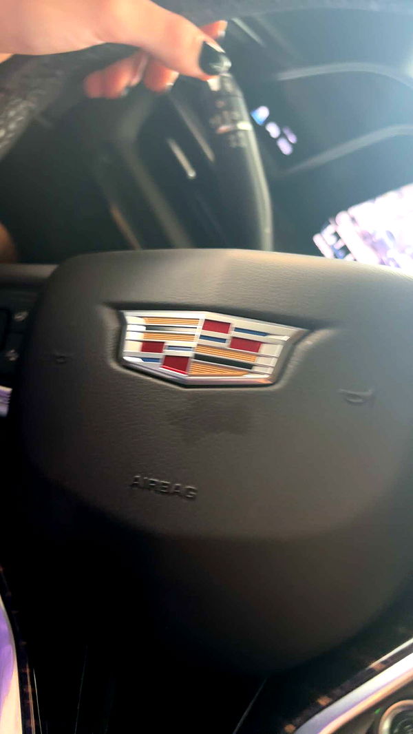 little.warren1 image ~ Altpins