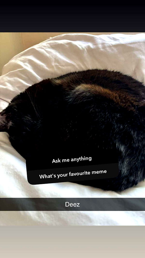 little.warren1 image ~ Altpins