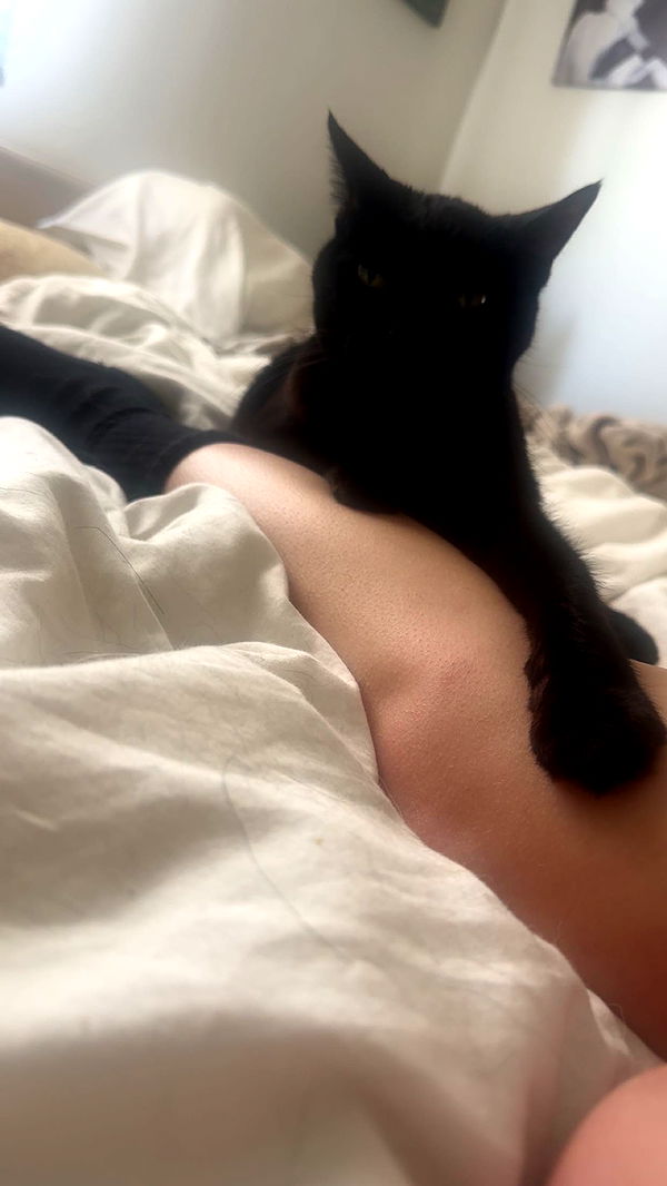 little.warren1 image ~ Altpins