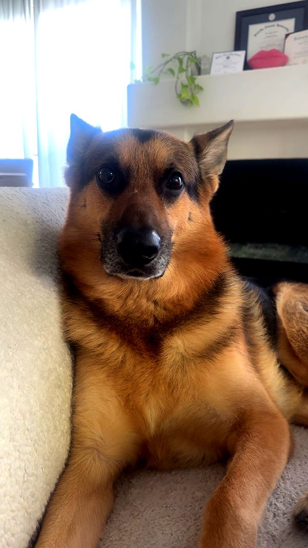 little.warren1 image ~ Altpins