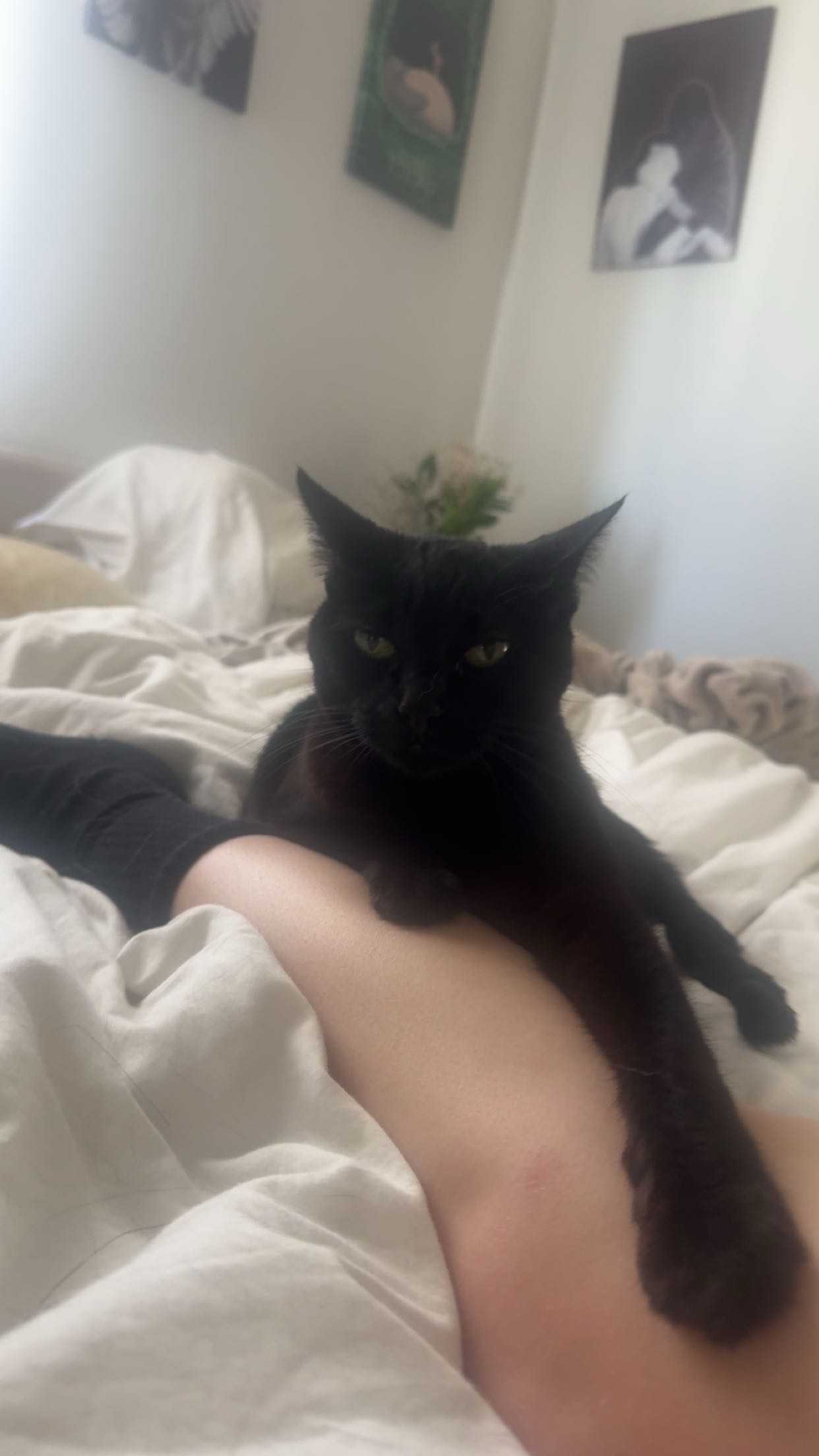 little.warren1 snapchat image archive image