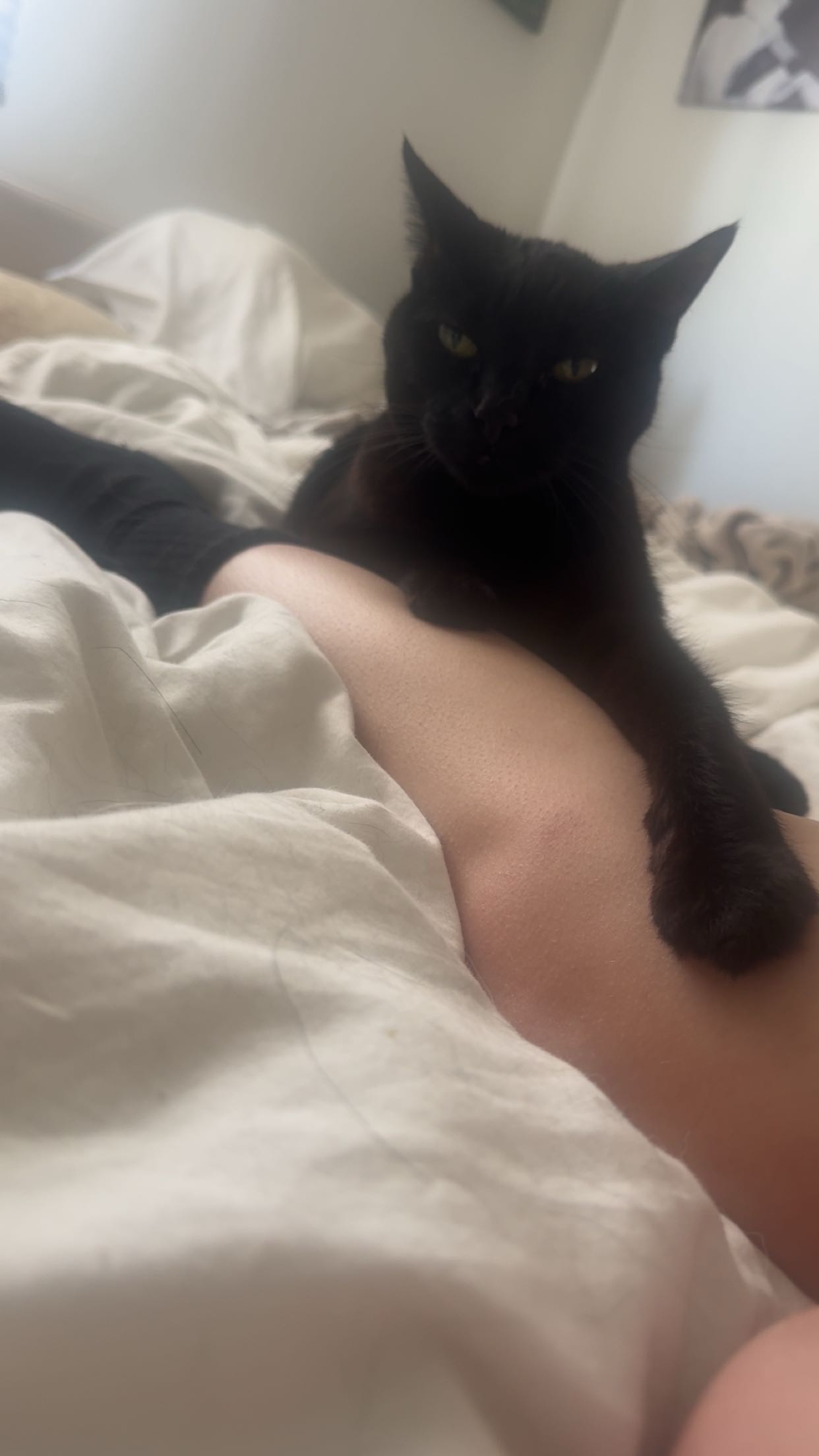 little.warren1 snapchat image archive image