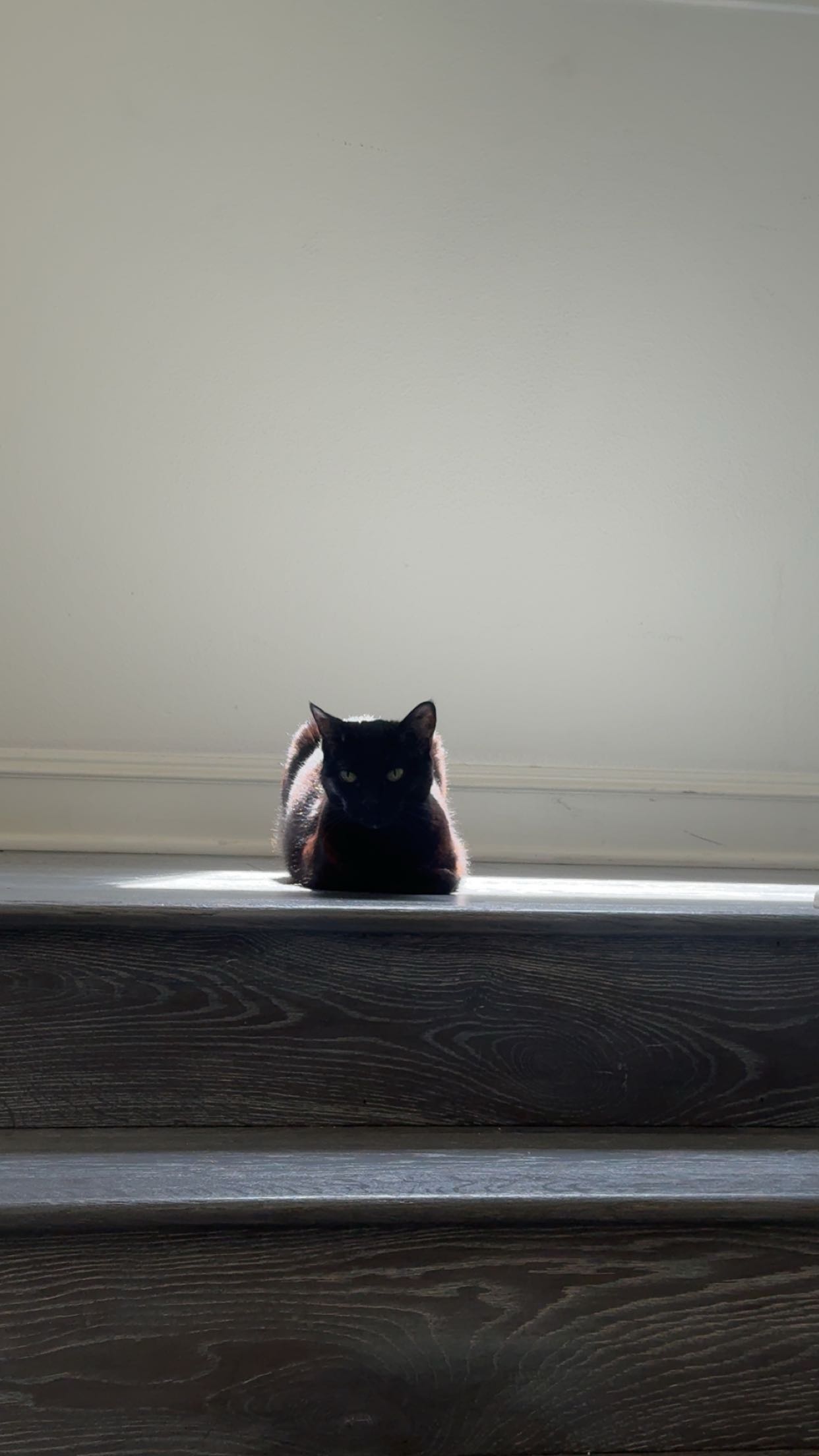 little.warren1 snapchat image archive image