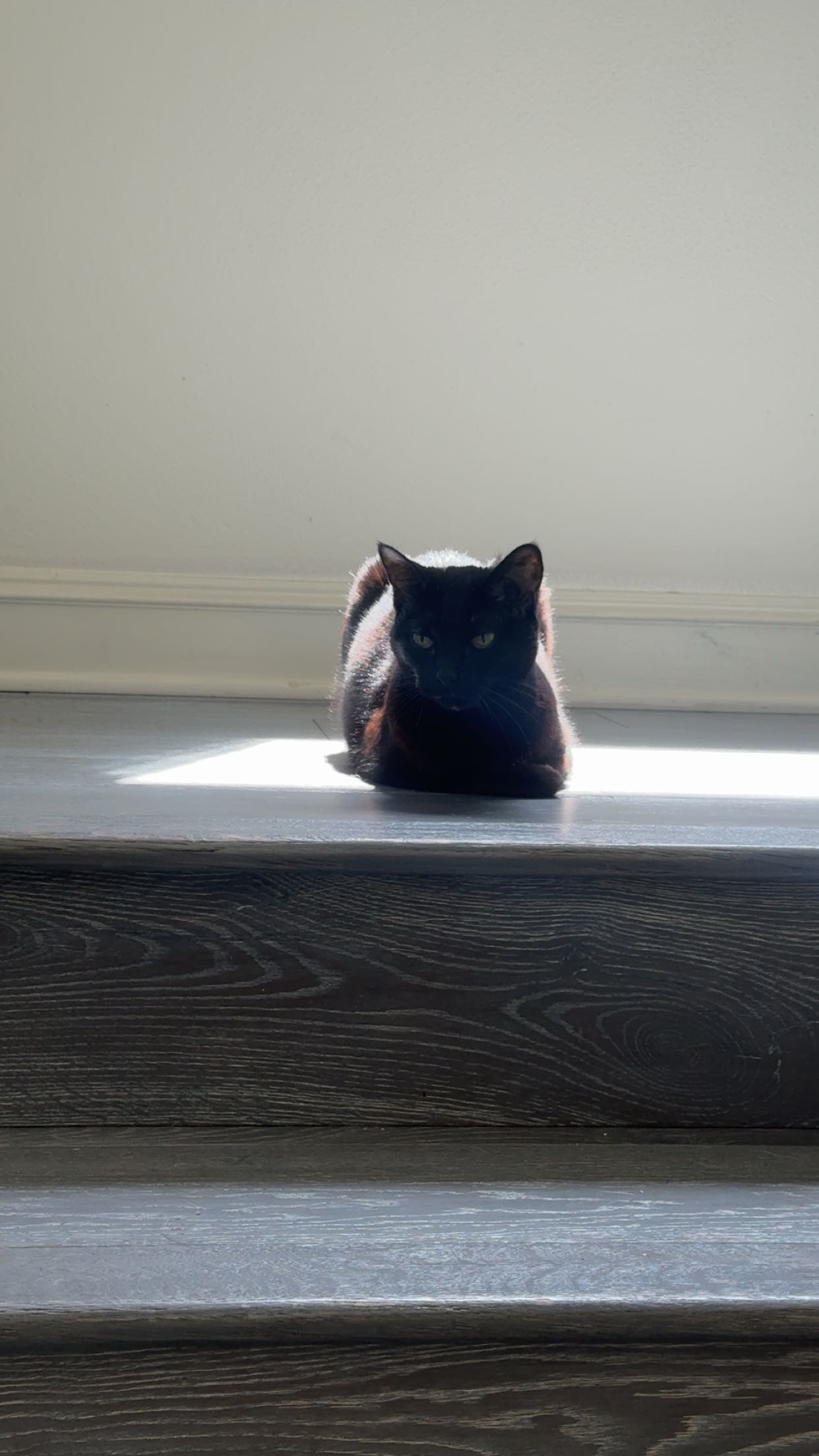 little.warren1 snapchat image archive image